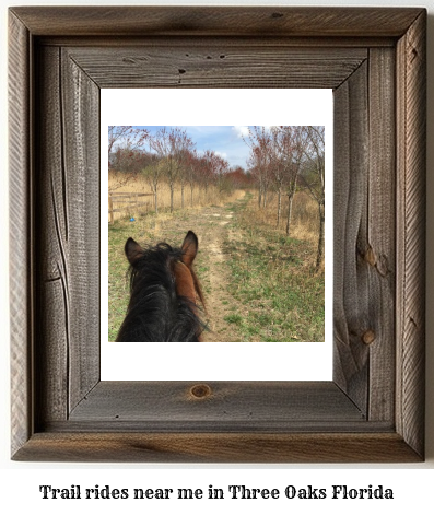 trail rides near me in Three Oaks, Florida